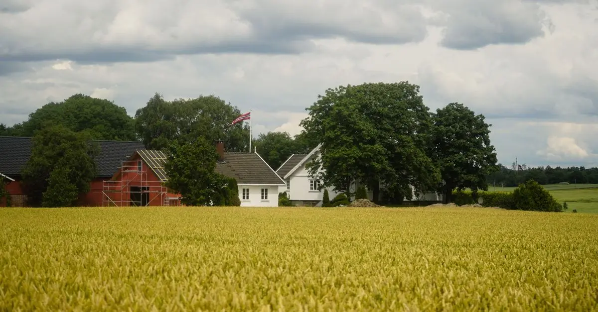 Fiscalité agricole : ce qu'il faut retenir