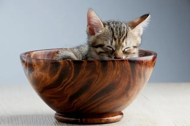 Tout savoir sur la fiscalité des revenus des artistes en France